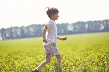 Çocuk güneşli yaz sabahı alanında
