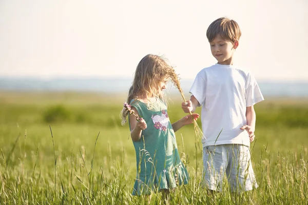 Children in the field at sunny summer morning — Stock Photo, Image