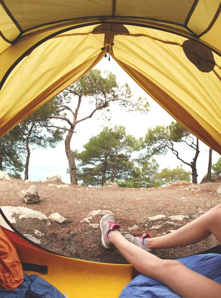 Utsikt fra innsiden av et telt i skogen og hunnbeina kommer ut av teltet – stockfoto