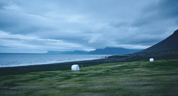 Το λιτό Ισλανδικό τοπίο με πεδίο στο πρώτο πλάνο και τα βουνά και τα φιόρδ στο παρασκήνιο — Φωτογραφία Αρχείου