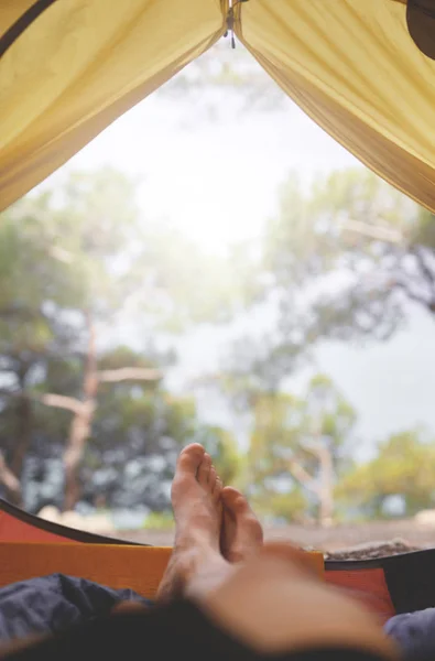 Utsikt fra innsiden av et telt i skogen og mannlige bein dukker opp fra teltet – stockfoto