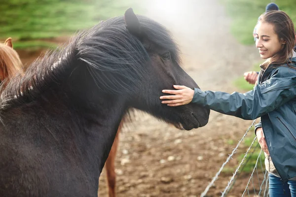 A woman stroking a horse — Stock Photo, Image