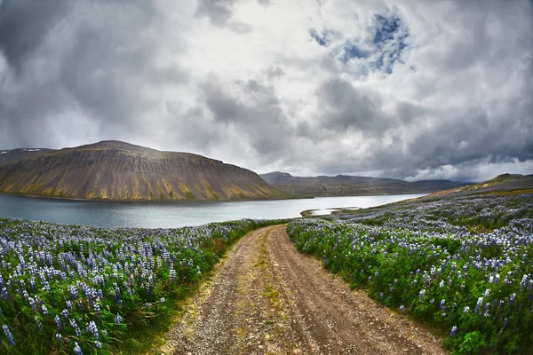 美丽的冰岛景观与前景及山场和峡湾中的背景 — 图库照片