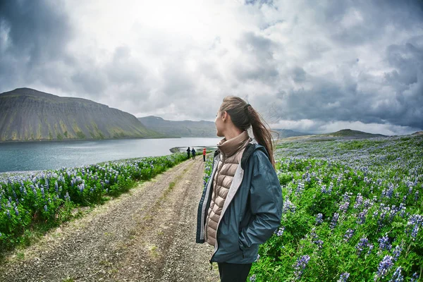 Prachtige IJslandse landschap met een veld in de voorgrond en de bergen en de fjorden in de achtergrond — Stockfoto