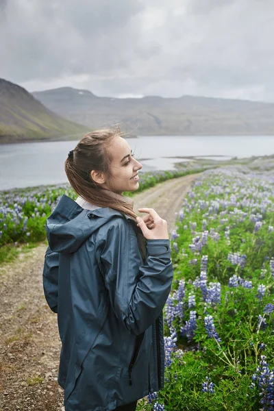 Prachtige IJslandse landschap met een veld in de voorgrond en de bergen en de fjorden in de achtergrond — Stockfoto