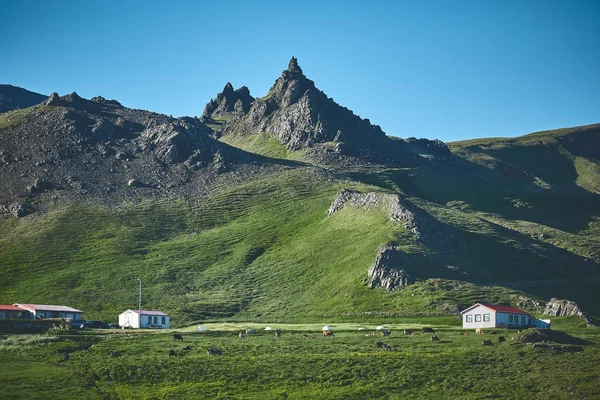 A bájos rusztikus vidéki ház fjord háttér — Stock Fotó