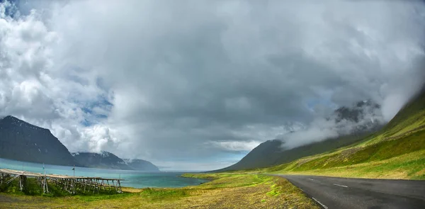 Hermoso paisaje islandés con campo en primer plano y las montañas y los fiordos en el fondo — Foto de Stock