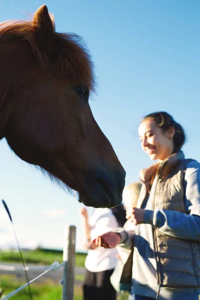 En kvinne som stryker en hest – stockfoto