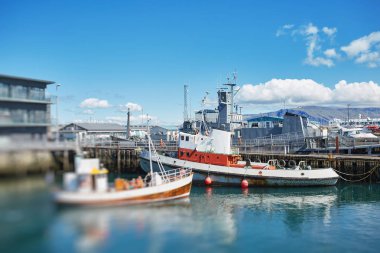 Reykjavik limanda gemi