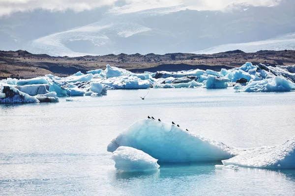 Bella immagine del paesaggio freddo di ghiacciaio ghiacciato laguna baia, — Foto Stock