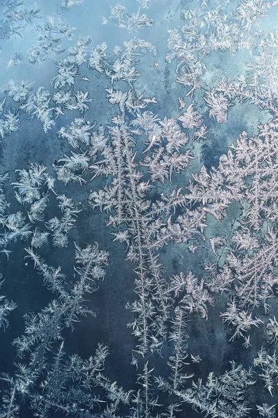 Frostmuster am Fenster — Stockfoto