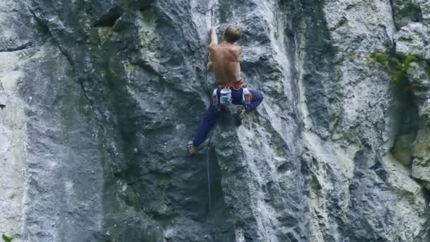 Vista posteriore forte uomo muscoloso arrampicatore arrampicata su percorso sportivo all'aperto su una scogliera verticale — Video Stock