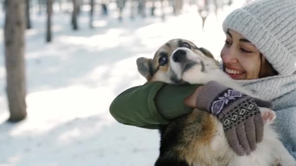 Mujer feliz en sombrero de lana y larga bufanda caliente celebración, emrasing su mascota en el parque de invierno nevado en el día soleado helada. Feliz tiempo juntos, lindo perro galés Corgi Pembroke, holodías de invierno — Vídeos de Stock