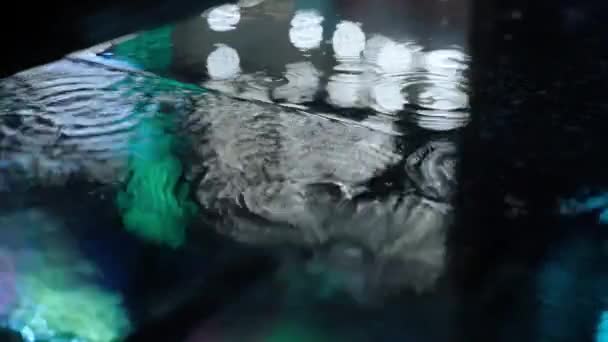 Cámara lenta primer plano gotas de lluvia cayendo en charco con luces reflexión en la acera de la ciudad . — Vídeo de stock