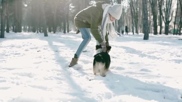 Lycklig kvinna i ullmössa och lång varm halsduk håller, innesluta hennes husdjur i snöig vinterpark på frostig solig dag. Lycklig tid tillsammans, söt hund walesiska Corgi Pembroke, vinter holodays — Stockvideo