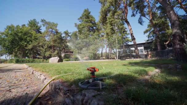 Water Sprinkler Showering Grass — Stock Video