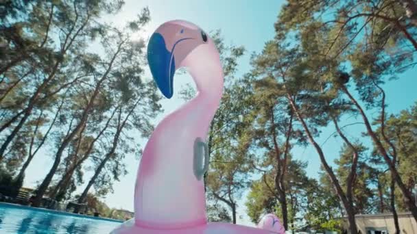 Široký úhel objektiv natáčení osamělé gumy kroužek růžový flamingo v bazénu — Stock video