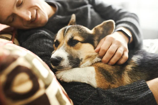 Retrato de jovem abraça seu animal de estimação. Bonito cachorro galês Corgi descansando com o proprietário, passando tempo juntos em casa . — Fotografia de Stock