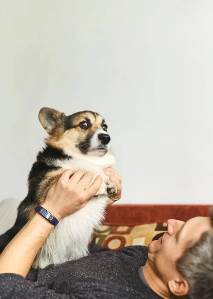 young man owner petting the dog, resting with his pet at home on couch, spending time together, cute Welsh Corgi puppy looking funny.