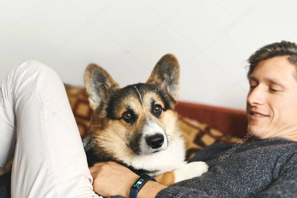 young man owner petting the dog, resting with his pet at home on couch, spending time together, cute Welsh Corgi puppy looking funny.