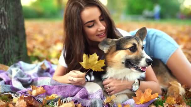 Sorrindo mulher feliz jogando em conjunto com o cão galês Corgi Pembroke em um parque ao ar livre. Jovem dona do sexo feminino abraçando animal de estimação no parque no outono no fundo da folhagem laranja. — Vídeo de Stock