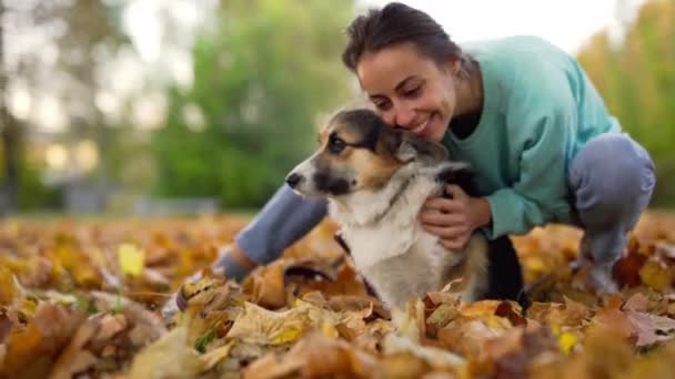 Glad leende kvinna krama och leka med walesiska Corgi Pembroke hund i en park utomhus. — Stockvideo