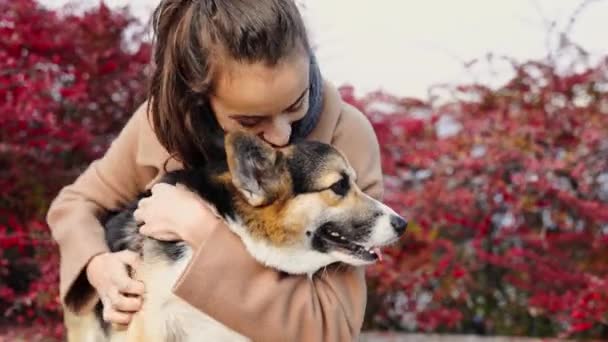 Bastante sonriente mujer paseando lindo perro en la naturaleza — Vídeo de stock