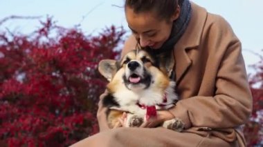 Doğada Yürüyen Güzel Gülümseyen Kadın Şirin Köpek
