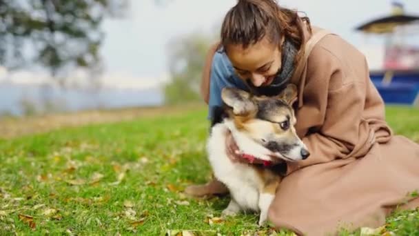 Bastante sonriente mujer paseando lindo perro en la naturaleza — Vídeo de stock