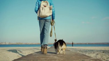 Kadın ve sevimli köpek Welsh Corgi Pembroke kumsalda yürüyor.
