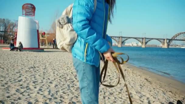 Mujer joven caminando con lindo perro galés Corgi a lo largo de la playa de arena en la orilla del mar — Vídeos de Stock