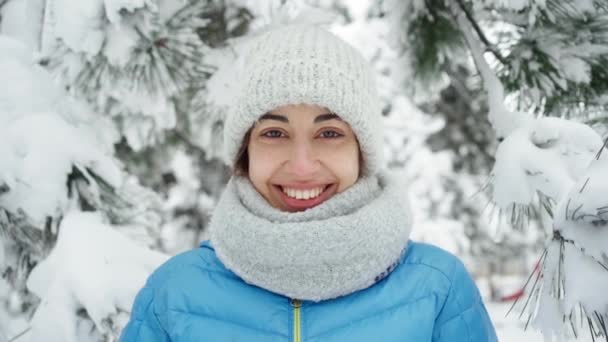 Close-up portret van schattige glimlachende jonge vrouw in warme wollen kap en lange sjaal wandelen in besneeuwde winter park op frozzy zonnige dag. — Stockvideo