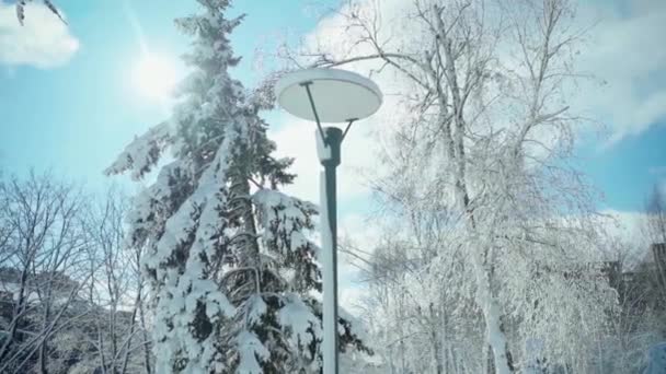 Koude besneeuwde winter in de stad — Stockvideo