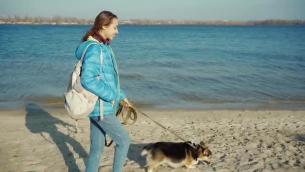 Genç bir kadın deniz kıyısındaki kumlu sahil boyunca sevimli bir köpekle yürüyor. — Stok video