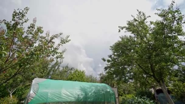 Zelfgemaakte kas in de tuin op de binnenplaats — Stockvideo