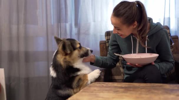 Hermosa joven alegre alimenta al perro de su plato — Vídeos de Stock