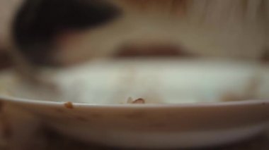 Kapalı köpek ağızlığı tabaktan yemek yiyor.