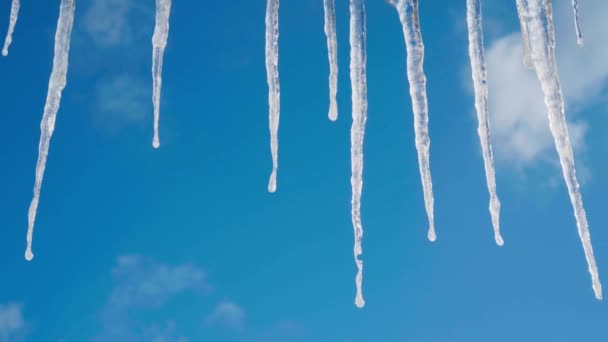 Grote lange ijspegel tegen een heldere blauwe lucht met witte wolken — Stockvideo