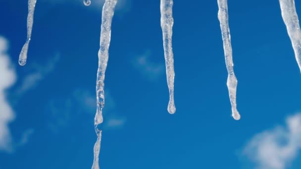 Close-up grote lange ijspegel tegen een heldere blauwe lucht met witte wolken — Stockvideo