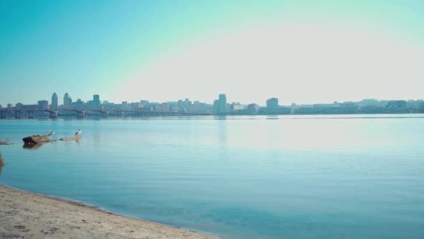 Panorama of big river coast or sea bay with clear blue water and cityscape on other side — Stock Video