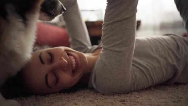 Happy attractive young woman lying on floor and playing and stroking dog – Stock-video