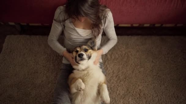 Ευτυχισμένη ελκυστική νεαρή γυναίκα κάθεται στο πάτωμα και χαϊδεύει το σκυλί — Αρχείο Βίντεο