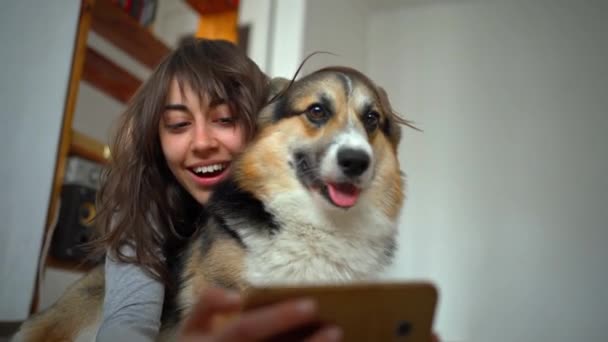 Счастливая улыбающаяся привлекательная молодая женщина обнимает симпатичную собаку корги и делает с ним селфи — стоковое видео