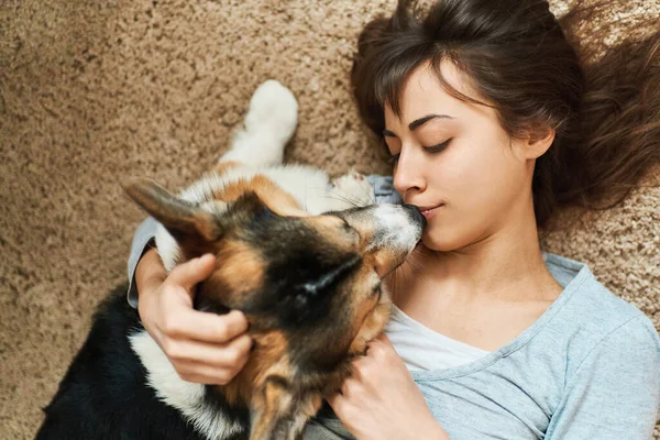 俯瞰年轻快乐的女人和可爱的宠物躺在地毯上 快乐的女孩亲吻和抚摸威尔士科尔吉的狗 概念待在家里 与狗的友谊 快乐的时刻 — 图库照片