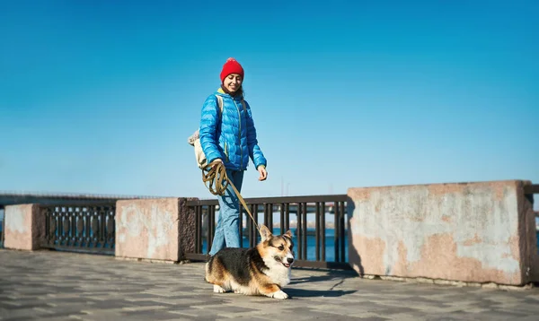 身穿蓝色夹克头戴红帽子的年轻女子 带着可爱的狗威尔士科尔吉在阳光灿烂的日子里散步 天色蔚蓝 主人和可爱的宠物在户外共度时光 — 图库照片