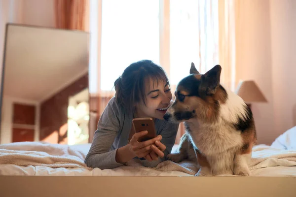 彼女のかわいいウェールズのCorgi犬とベッドルームでベッドの上に横たわっている若い女性を笑顔 スマートフォンで何かを示しています コンセプトは家にいるペットとの友情一緒に過ごす時間 — ストック写真