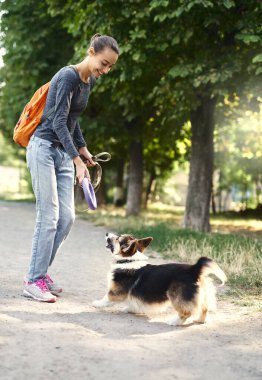 Galli Corgi Pembroke köpeği ve gülümseyen mutlu kadın birlikte yürüyor ve dışarıda oynuyorlar. Evcil hayvan çekicisini fırlatan genç bir bayan. Köpek ve insanla arkadaşlığı kavra, birlikte zaman geçir..