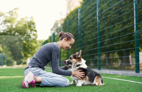 若い女性の所有者は 草の上に座って犬を撫でる 一緒に時間を過ごす 犬と人間 犬の歩行との概念友情 — ストック写真