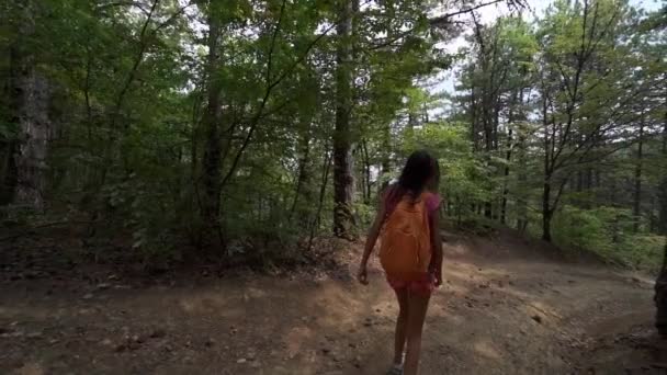 Chica feliz excursionista caminando a lo largo de camino de tierra áspera en bosques — Vídeo de stock