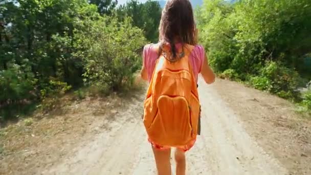 Mochileiro mulher andando ao longo áspero terra estrada no madeiras — Vídeo de Stock